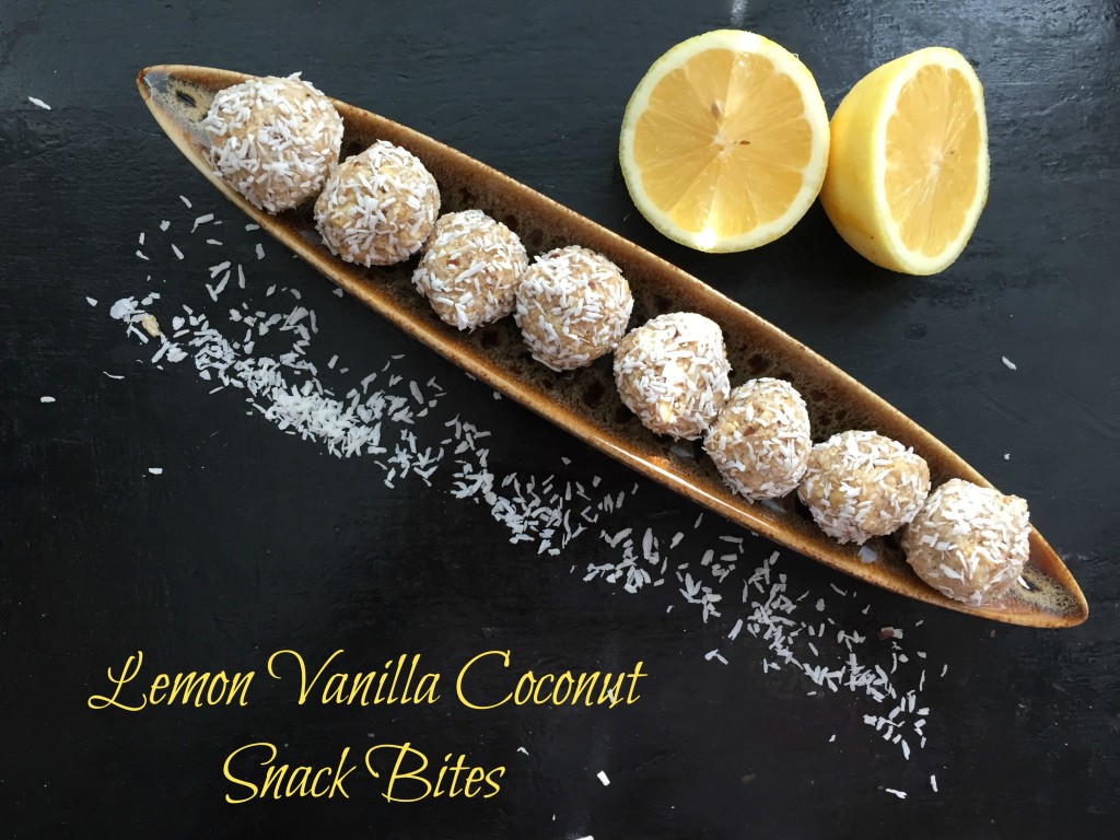 lemon_vanilla_coconut_snackbites