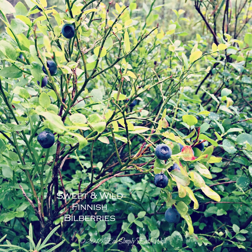 Bilberries_20150727