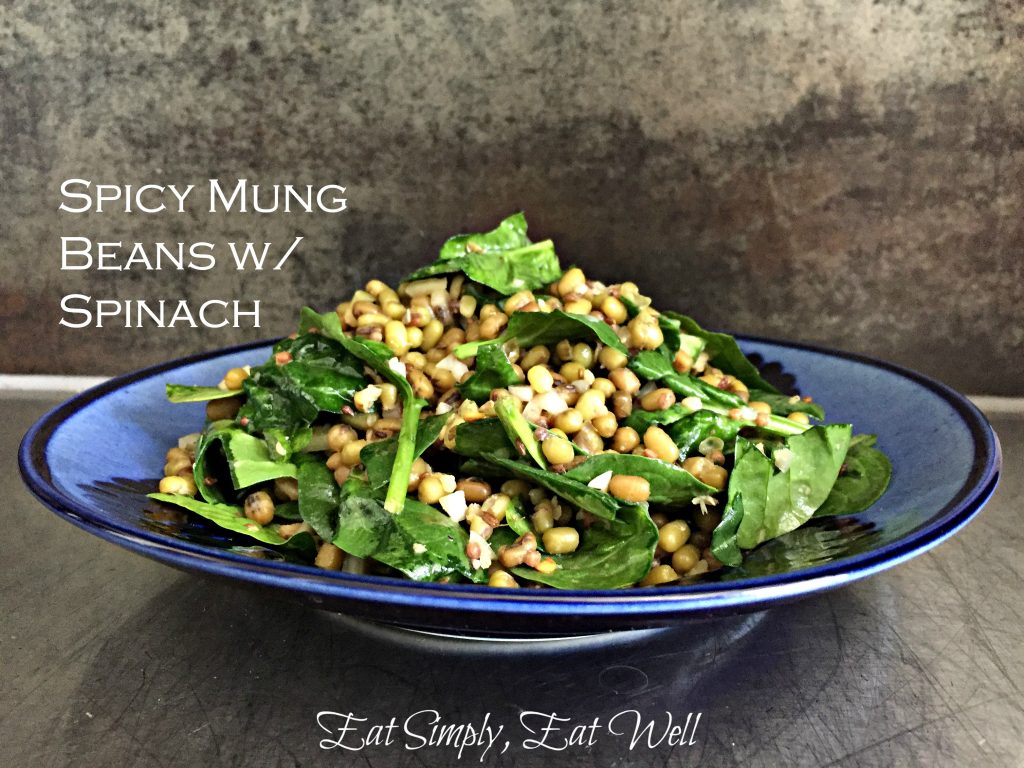 Mung-beans_spicy_logo_text_main_20160504